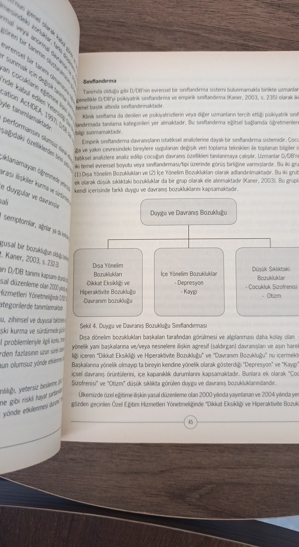 Özel Eğitime Giriş Kitabı - Görsel 3