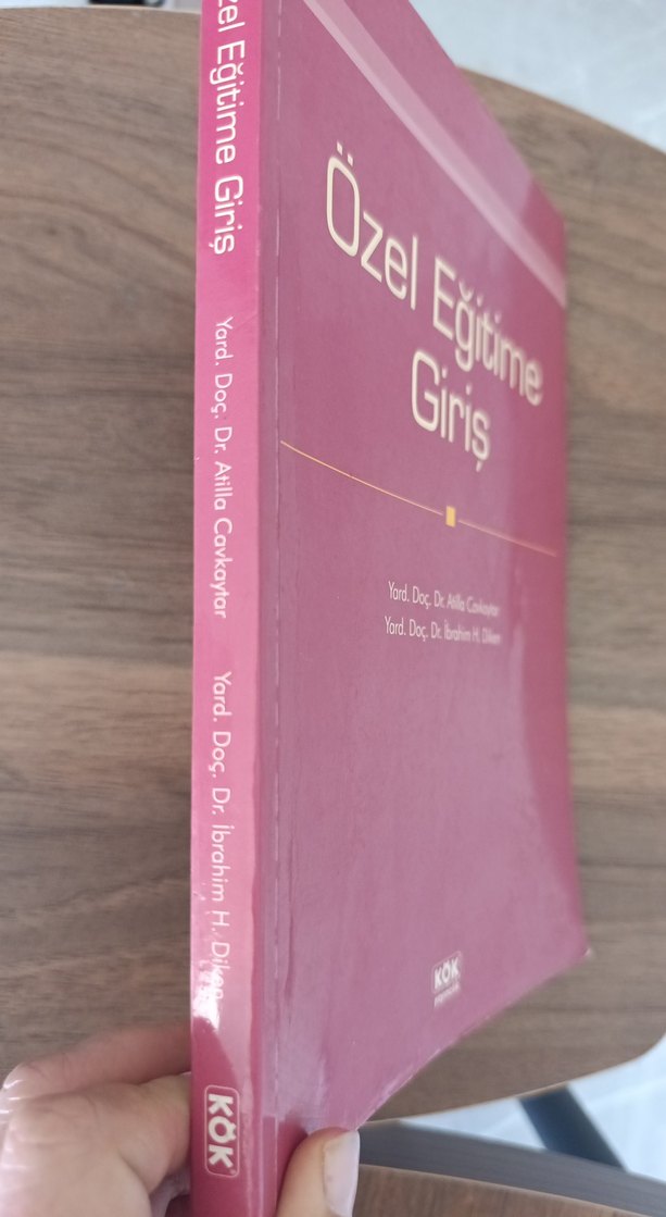 Özel Eğitime Giriş Kitabı - Görsel 2