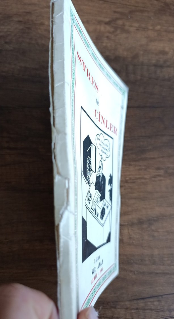 Stres ve Cinler - Nuri Akay - Görsel 2