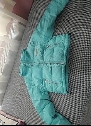Pull and bear mont