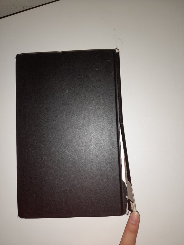 rj palacio. mucize ciltsizdir - Görsel 2