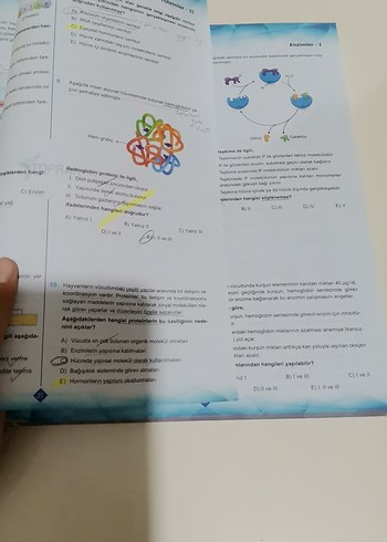 Toprak TYT Biyoloji Yeni Nesil Soru Bankası