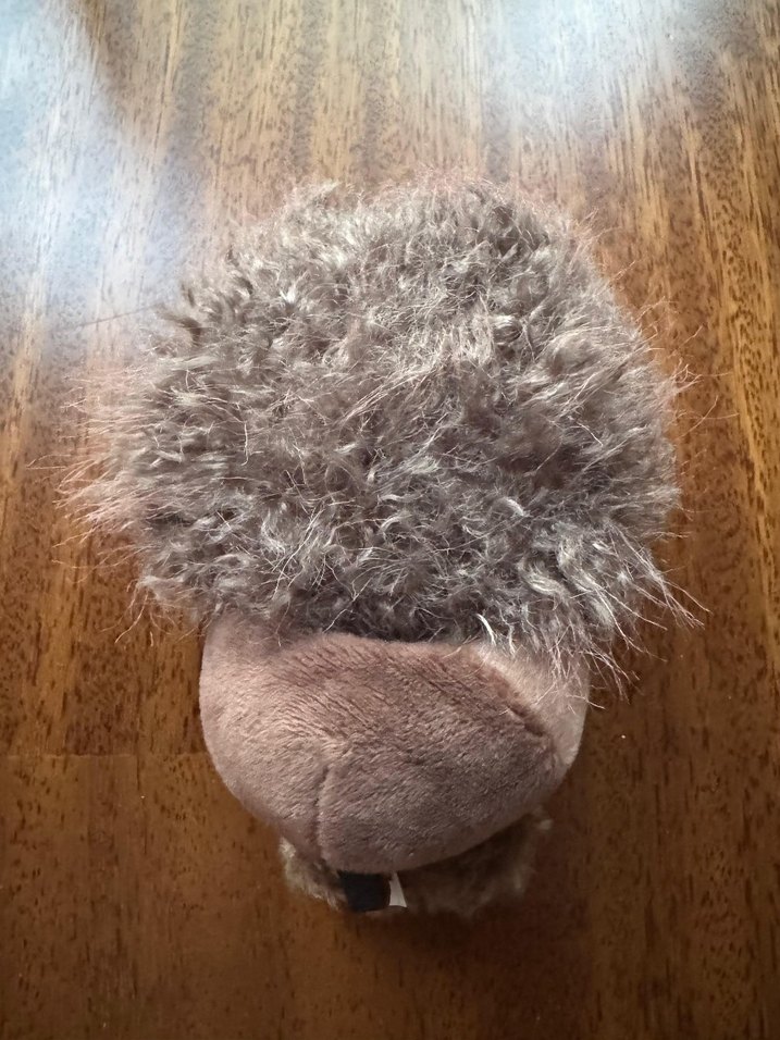 skullpanda orijinal - Görsel 5