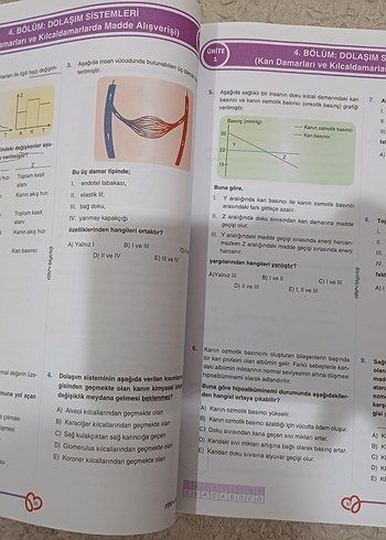 ritim biyoloji AYT Biyoloji Soru Bankası 1267 Soru - Görsel 2