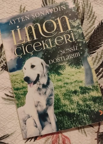 Limon Çiçekleri Sessiz Dostlarım Romanı