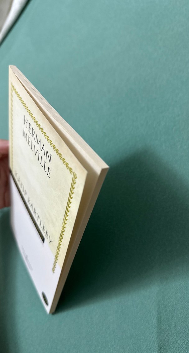 Kâtip Bartleby - Herman Melville - Görsel 2