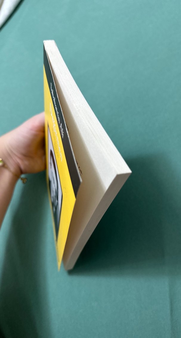 Sabahattin Ali - Değirmen Romanı - Görsel 2