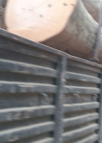 1. Sınıf gürgen ağacı ton bazlı satış - Görsel 9