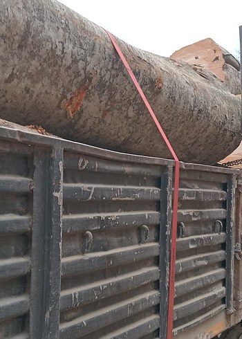 1. Sınıf gürgen ağacı ton bazlı satış - Görsel 10