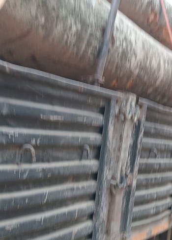 1. Sınıf gürgen ağacı ton bazlı satış - Görsel 8