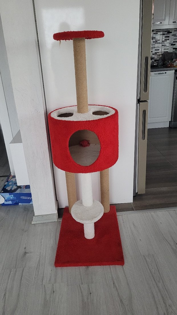Kırmızı Renkli Çok Katlı Kedi Tırmalama Tahtası - Görsel 2