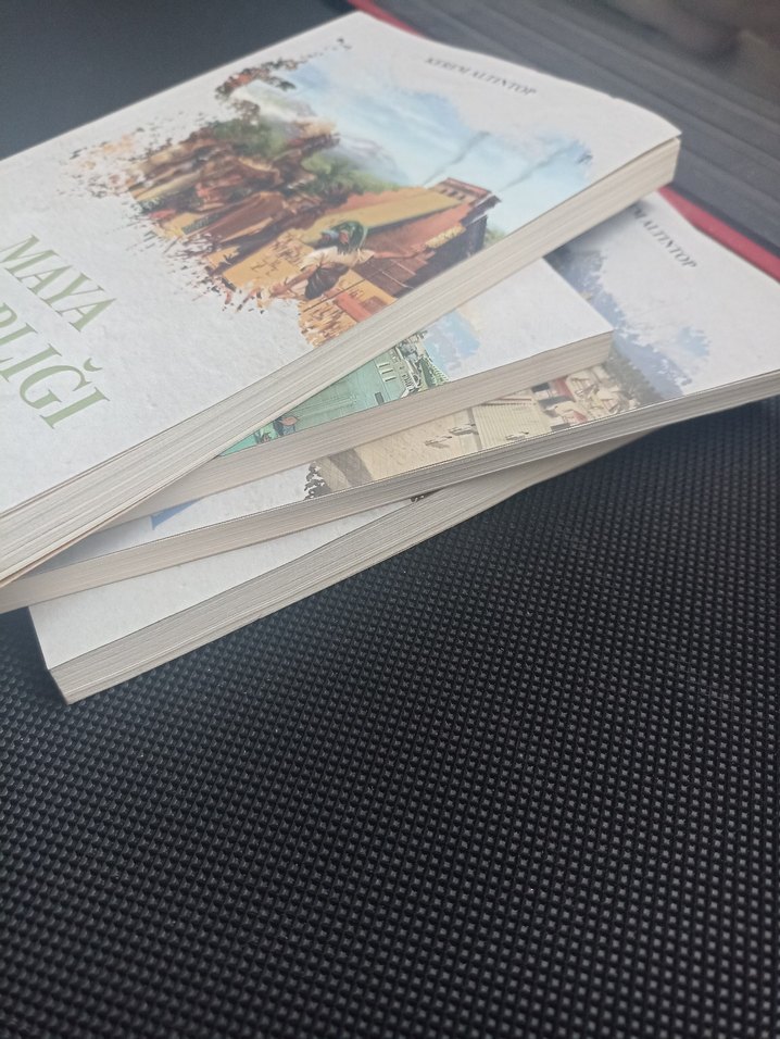 Tarih kitapları - Görsel 3