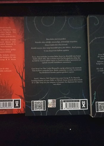  Beden Sis ve Öfke Sarayı - Sarah J. Maas