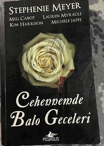Karanlığın Cehenneminde Büyüleyici Aşklar Kitabı - Görsel 2