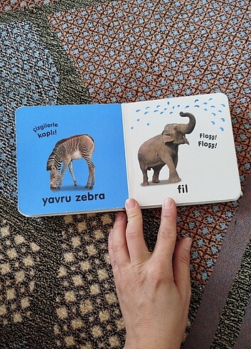 Beden Dokun hisset kitabı