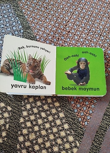 Beden Renk Dokun hisset kitabı
