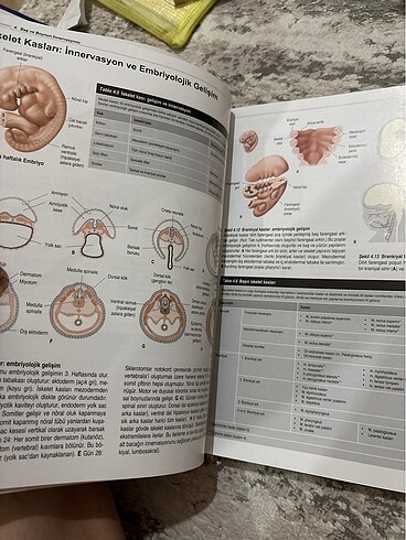  Baş ve Boyun Anatomisi Atlası
