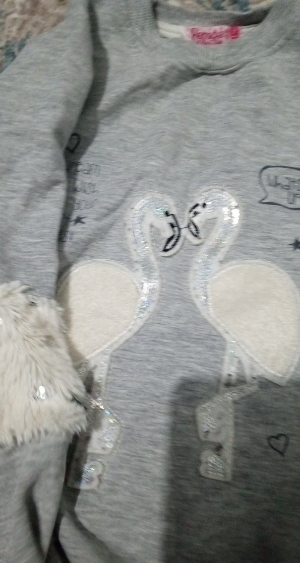 Nakışlı Gri Kız Sweatshirt - Görsel 2