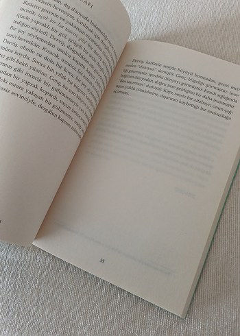 Kuş Uçar Kanatlar - Şükrü Erbaş - Görsel 5