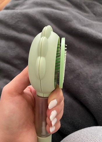 Kedi tarağı - Görsel 4