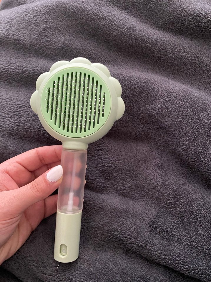 Kedi tarağı - Görsel 2