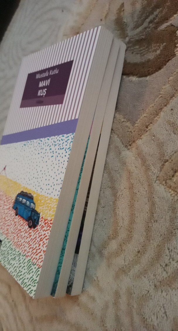 Mavi kuş -Menekşeli Mektup -Ya Tahammül Ya Sefer - Görsel 2