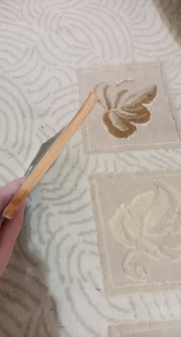 İtiraflarım Tolstoy - Görsel 3