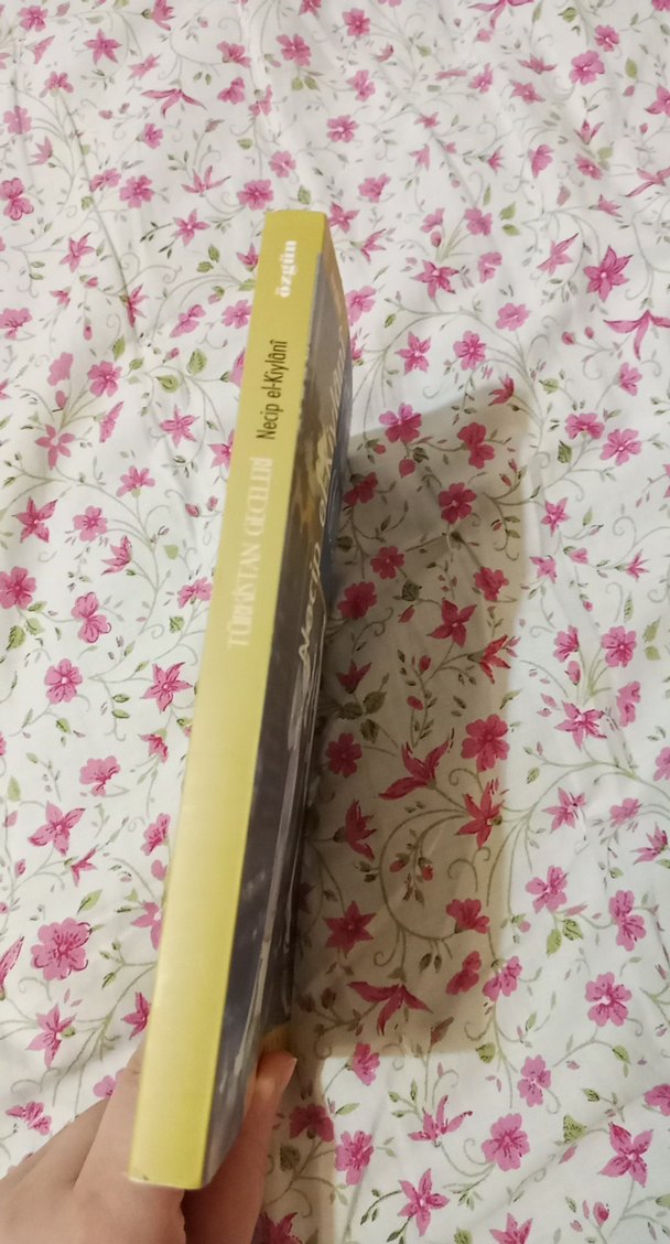 Türkistan Geceleri - Necip Ekivânî - Görsel 2