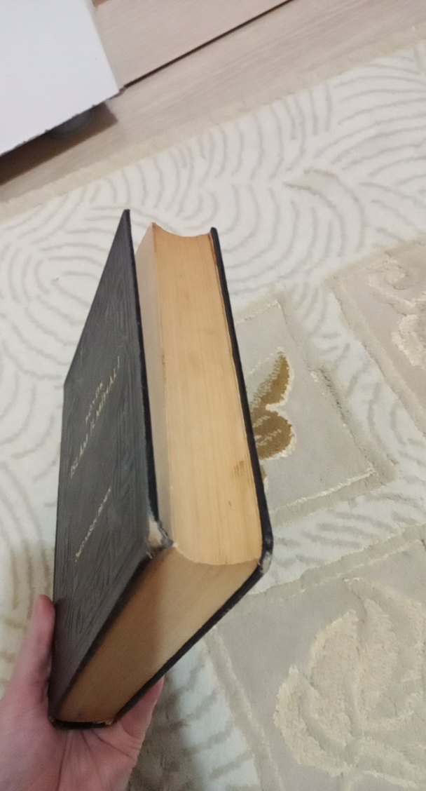 Büyük İslam İlmihali - Ömer Nasuhi Bilmen - Görsel 2