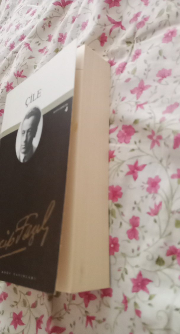 Çile - Necip Fazıl Kısakürek - Görsel 4