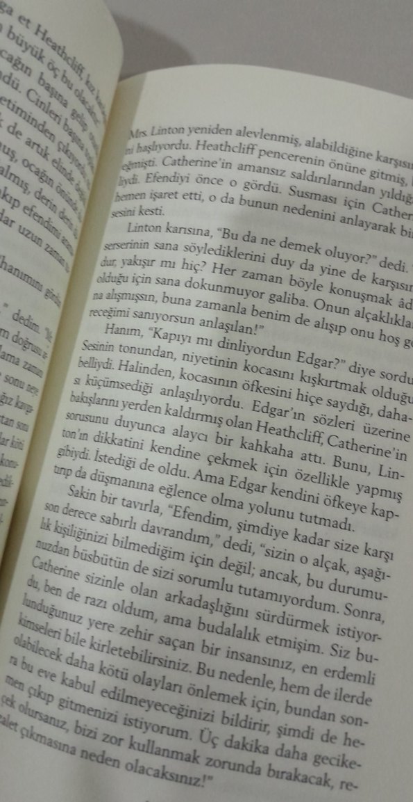 Uğultulu Tepeler - Emily Bronte - Görsel 3