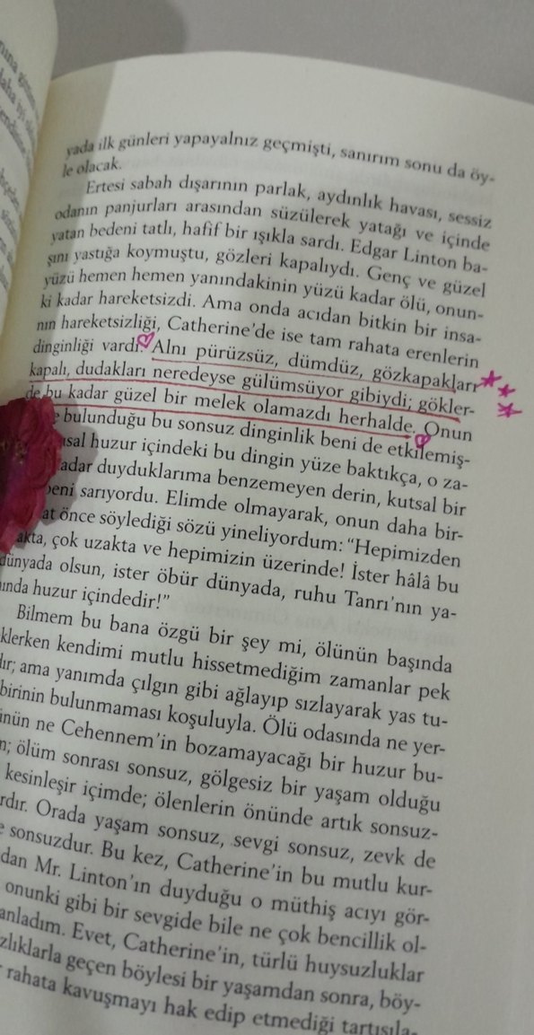 Uğultulu Tepeler - Emily Bronte - Görsel 2