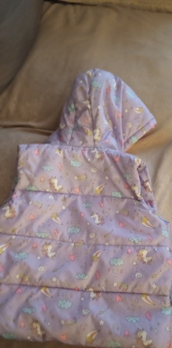 LCW 6..7 yş Kız Çocuk Kapüşonlu şişme Fermuarlı Yelek - Görsel 5