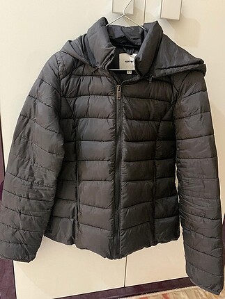 Koton mont