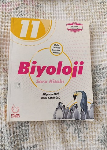 11. Sınıf Biyoloji Soru Kitabı Palme