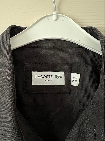 Lacoste erkek gömlek