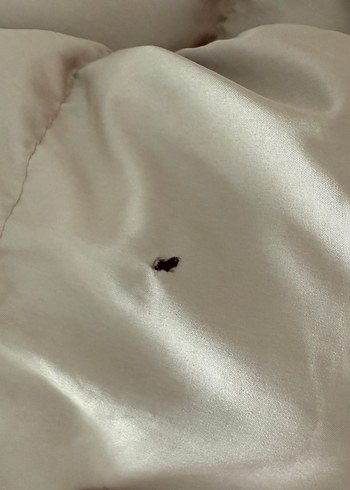 Diğer Bej Kadın Midi Boy Rahat Kış Mont