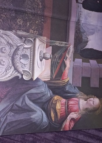 Leonardo Da Vinci - 500 Görselle Yaşamı ve Eserleri - Görsel 2