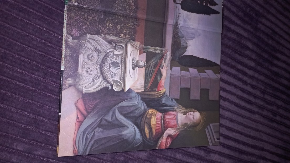 Leonardo Da Vinci - 500 Görselle Yaşamı ve Eserleri - Görsel 2