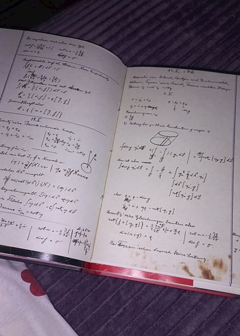 Einstein: Bir Dahinin Yaşamı - Walter Isaacson - Görsel 4