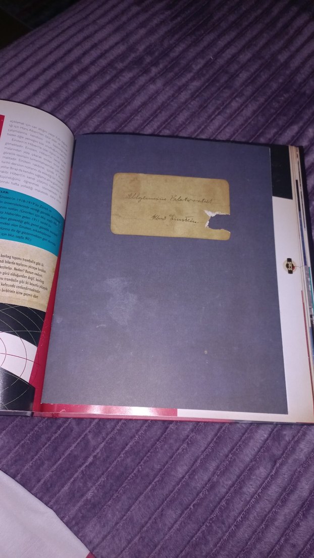 Einstein: Bir Dahinin Yaşamı - Walter Isaacson - Görsel 3