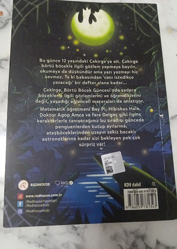 Börtü Böcek Güncesi - Şiirsel Taş - Görsel 2