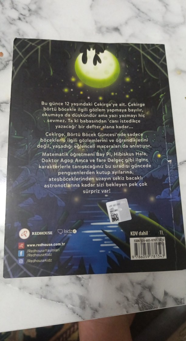 Börtü Böcek Güncesi - Şiirsel Taş - Görsel 2