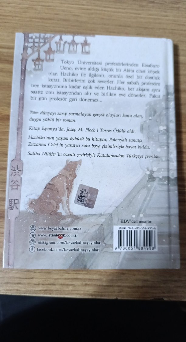 Hachiko - Sahibini Bekleyen Köpek - Görsel 2