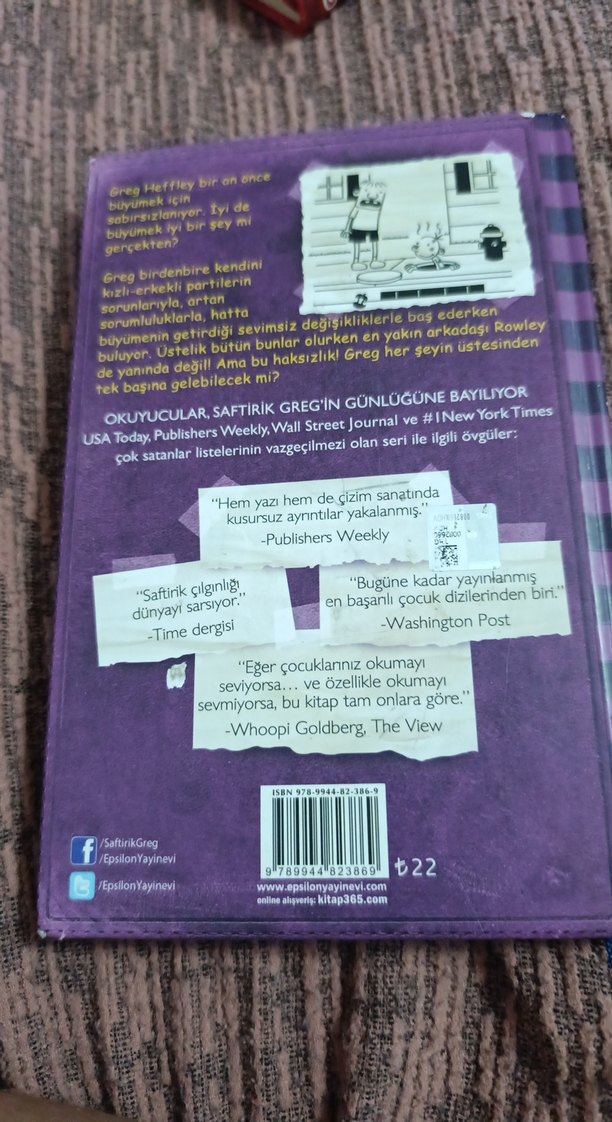 Saftirik Greg'in Günlüğü - Ama Bu Haksızlık! -5.kitap - Görsel 2