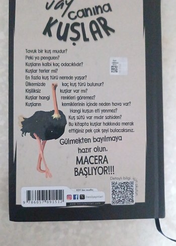 Vaycanına Kuşlar - Yusuf Asal