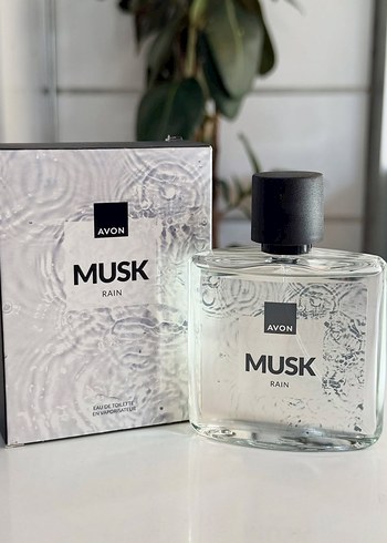 Avon Musk Rain Erkek Parfümü