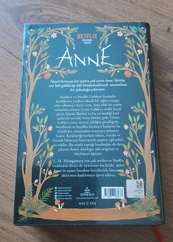 Yeşilin Kızı Anne Roman ve Hatıra Defteri - Görsel 3