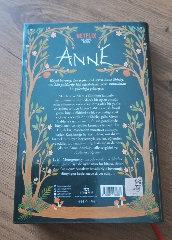 Yeşilin Kızı Anne Roman ve Hatıra Defteri - Görsel 3