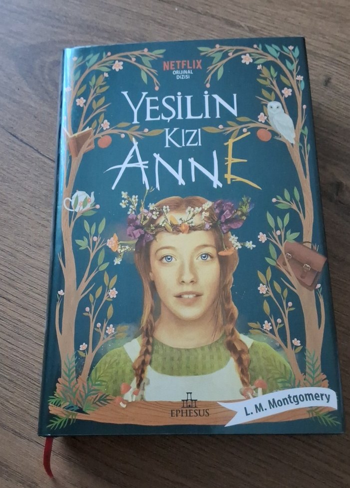 Yeşilin Kızı Anne Roman ve Hatıra Defteri - Görsel 2